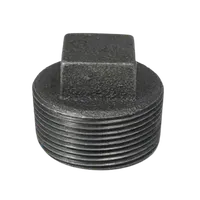 Jual Aksesoris Pipa TSP Dop Drat Luar Hitam BS 1/2