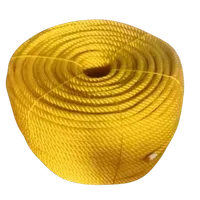 Jual Alat Bantu Kerja NB Tambang Nilon 18mm Kuning @200meter