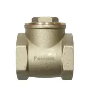 Jual Check Valve Perruno 1