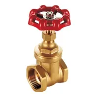 Gate Valve AMD Brass 1/2 inch