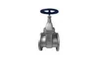 Gate Valve Yuta 2 1/2" FL CI 125CG