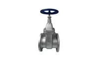 Gate Valve Yuta FL CI N25CG 6"