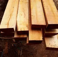 Jual Kayu Kaso NB 4x6 cm per m3 - Kayu standard