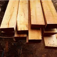 Jual Kayu Kaso NB 5x7 cm per m3 - Kayu standard