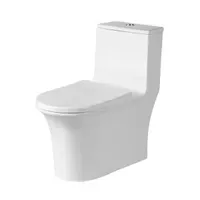 Jual Kloset Duduk Aer Siphonic One Piece Toilet OSC 13