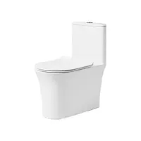 Jual Kloset Duduk Aer Siphonic One Piece Toilet OSC 20