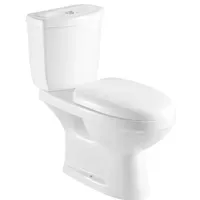 Jual Kloset Duduk Aer Washdown Two Piece Toilet TWC 01