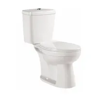 Jual Kloset Duduk Alice Putih (Rough in 25 cm)