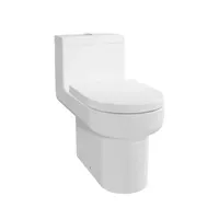 Jual Kloset Duduk TOTO CW895J