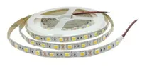 Lampu & Armatur Citrus LED Strip 5050 IP 33 12V WW Type B