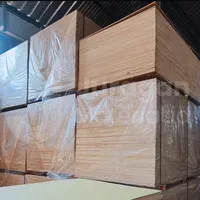 Triplek Meranti Campur (MC) Non Sanding (NS) 122cm X 244cm X 12mm