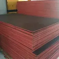 Triplek Meranti Campur (MC) Phenolic 18mm