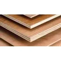 Triplek NB BS 122cm X 244cm X 12 mm