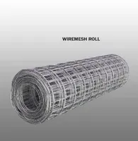 Wiremesh Master Steel ( MS ) M6 Full SNI ( Roll )